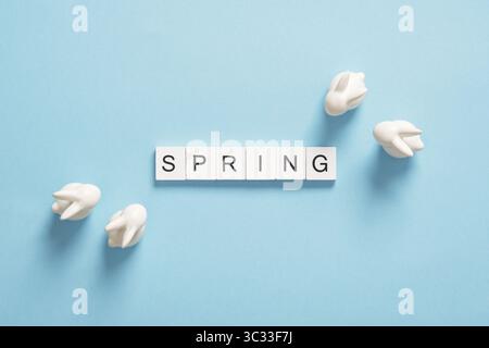 The word Spring in English on wooden blocks with white porcelain bunnies on a blue background. Space for your text. Stock Photo