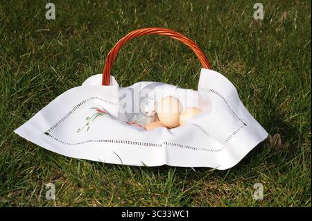 Traditional hand decorated Easter basket (Paschal basket) with eggs called swieconka on the green grass in the garden in Poland, Europe Stock Photo