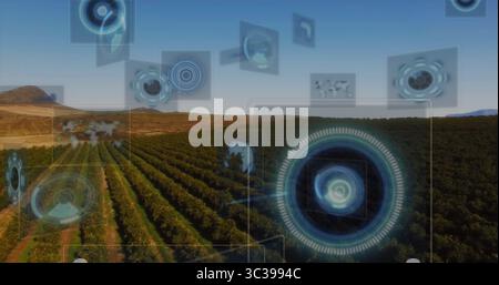 Displaying vineyard rows and trellises stretching to horizon on farmland with HUD overlays Stock Photo