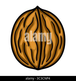 A vector illustration of a single walnut, showcasing a detailed hand-drawn style with rich brown hues and black outlines, emphasizing the natural text Stock Vector