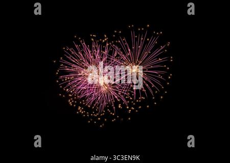 Palms of light: colorful fireworks painting the night sky Stock Photo