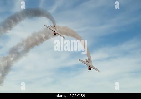 Two North American T-6 Texans emerge in formation from an aerial loop during the Wings Over Wayne Airshow held at Seymour Johnson Air Force Base in Go Stock Photo