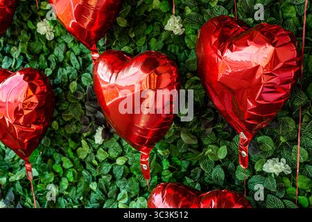 A view of red heart shaped balloons against a plastic ivy wall. Stock Photo