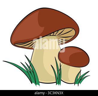 Forest mushrooms with a green grass. Stock Vector