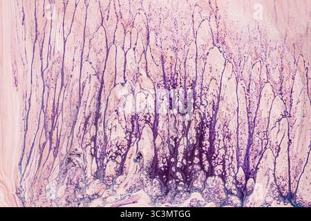 A mesmerizing abstract background featuring flowing patterns of purple and pink acrylic paint. The dynamic texture creates an intriguing visual effect Stock Photo