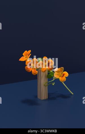 Vibrant orange nasturtium flowers supported by a wooden piece set against a deep blue background, highlighting their natural beauty. The minimalist de Stock Photo