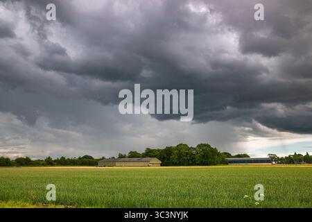 A scenic rural field under dramatic rainclouds with a distant barn, evoking isolation and nature Stock Photo