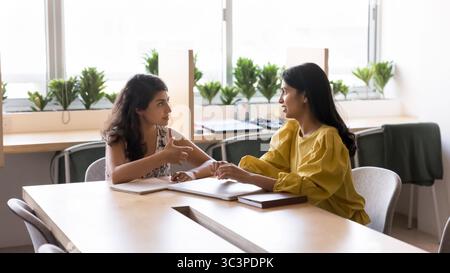 Two Indian colleagues working on joint task Stock Photo