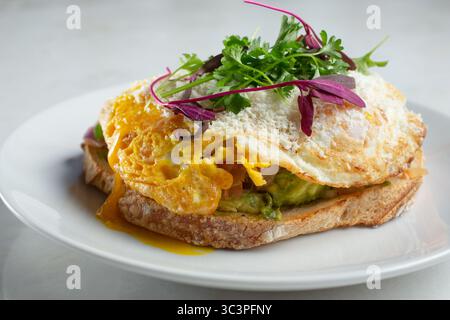 A view of a plate of avocado toast, featuring a fried egg. Stock Photo