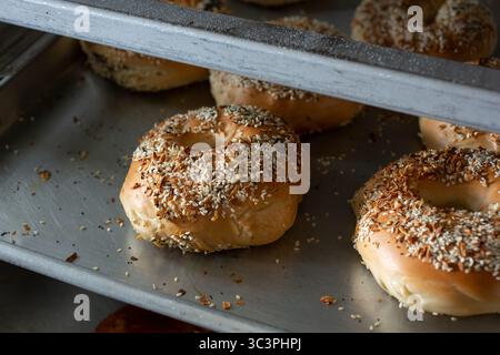 A view of a rack of everything bagels. Stock Photo