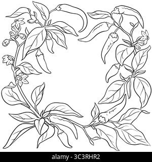 Cayenne Pepper Branch with Fruits Outline Frame. Stock Vector