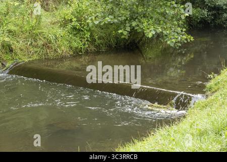 Water flowing over weir step in small river with green grass and bushes on riverbank, creating peaceful natural scene Stock Photo