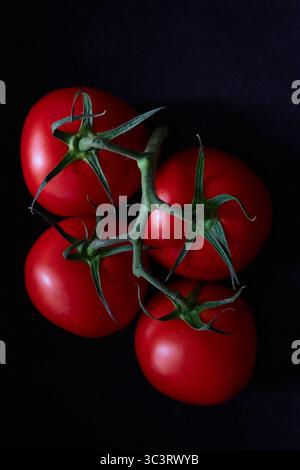 Still Life Photograph of Fresh Red Tomatoes on the Vine with a Dark Background Stock Photo