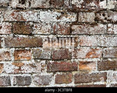 Old brick wall. Brickwork from an old brick in a rustic style. The structure and pattern of the destroyed stone wall. Copy space Stock Photo