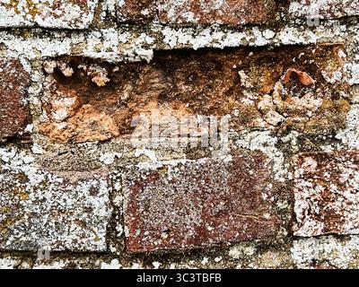 Close up of a red brick wall background with copy space Stock Photo