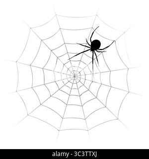 Silhouette of a black spider with web. Stock Vector