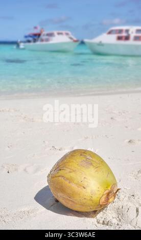 Tropical landscape with a beautiful beach. Timba Timba islet. Tun ...