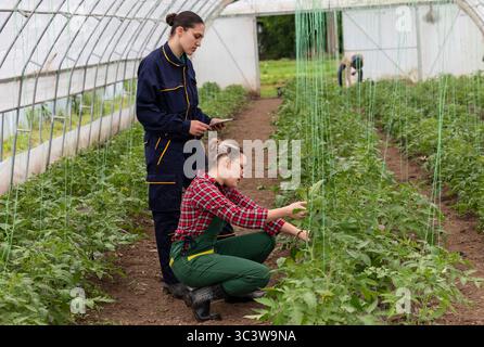 Female farmer checking on the plants while agronomist notes it on her digital tablet Stock Photo