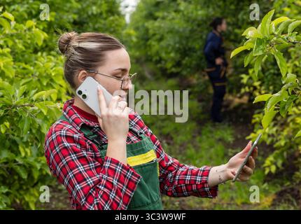 Two female workers in an orchard, focus on woman talking on the phone and reading out data from digital tablet Stock Photo