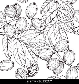Seamless vector pattern of green walnut on branch, walnut leaves, ripe walnut in shell. For printing on kitchen towels, cookware, food packaging and Stock Vector