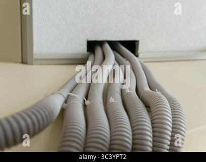 Upward view of wires in corrugated plastic protective sleeves running along the wall under a suspended ceiling. Stock Photo