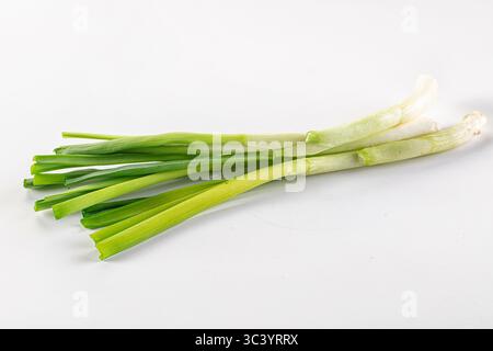 Young fresh juicy spring green onion Stock Photo