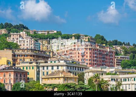Stacked pastel-colored residences climb the hills of Genoa, Italy, framed by trees and lit by clear summer light under a deep blue sky Stock Photo