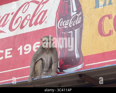 Coca cola advertising. India Stock Photo - Alamy