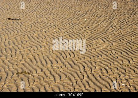 The shallow water of Llandonna Bay in Anglesey results in a huge tidal sand over a sandy sea bed. These tidal zones are a rich and varied habitat Stock Photo