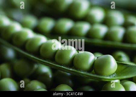 Close-Up of Green Peas in Pods Stock Photo