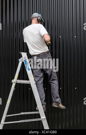 A man balances on one leg on a stepladder while fitting a sheet of corrugated iron to a new building Stock Photo