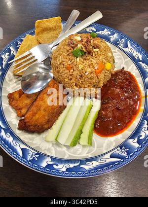 Malay fried chicken rice Stock Photo - Alamy