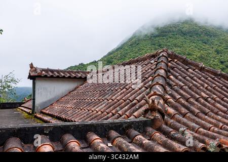 Close-up of a tiled roof covered with moss in the mountains of Madeira Island. Roof with bird figures. Traditional roofs in Portugal. High quality pho Stock Photo