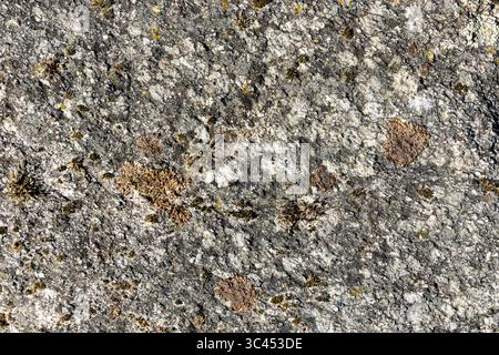 A rock with moss growing on it. The moss is green and brown. The rock is grey and has a rough texture Stock Photo
