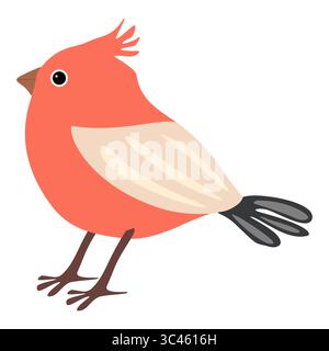 A vector cartoon-style illustration of a vibrant orange bird with a crest, featuring light-colored wings and a black tail. The bird stands upright wit Stock Vector