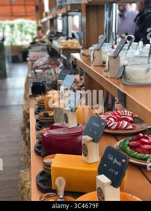 A vibrant cheese buffet display with various gourmet cheeses, fresh tomatoes, and creamy salads on a rustic wooden table. Stock Photo