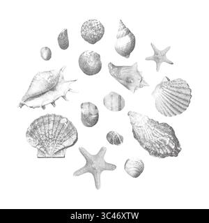 Shell Stipling Snail Shell Dotwork Drawing. Vector Illustration of Hand Drawn Objects ...