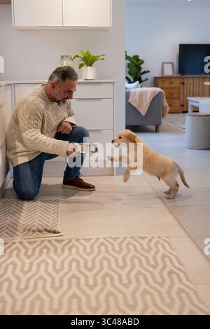 Mature man wearing cream sweater kneeling in kitchen offering metal dog bowl to puppy, copy space Stock Photo