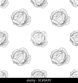 A vector seamless pattern featuring hand-drawn cabbage illustrations on a white background. The design showcases various angles of cabbages, creating Stock Vector