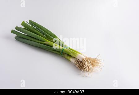 Fresh green onions with roots tied in a bunch on white background. Stock Photo