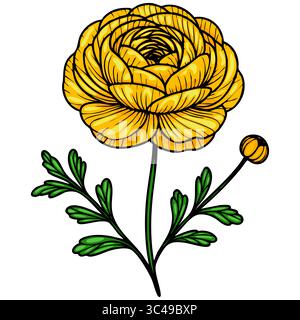 A vector vibrant yellow flower with layered petals and green leaves, featuring a round bud. The flower has a detailed, hand-drawn style, emphasizing i Stock Vector