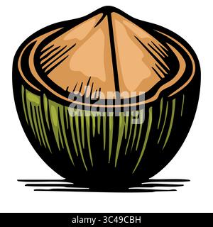 A vector stylized illustration of a coconut, showcasing its brown shell and green outer layer. The coconut is depicted with a smooth texture and a sli Stock Vector