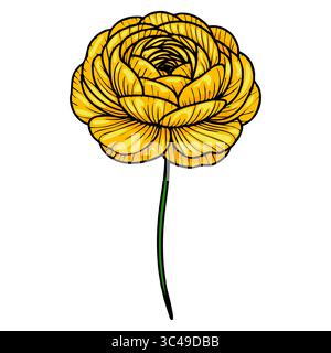 A vector detailed illustration of a yellow flower with layered petals and a long green stem, showcasing intricate lines and shading. Stock Vector