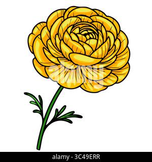 A vector vibrant yellow flower with layered petals and a green stem, showcasing intricate details and a lively appearance. Stock Vector