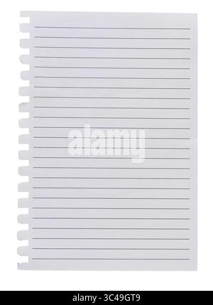 Torn-out lined notebook page template isolated on transparent background.. Binder holes on left edge. Empty note paper mockup. Writing, notes, school Stock Photo