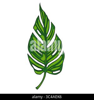A vector vibrant green monstera leaf with distinctive holes and splits, showcasing its unique tropical design. Stock Vector