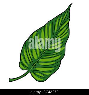 A vector vibrant green leaf with detailed veins and a glossy texture, showcasing its natural beauty. Stock Vector