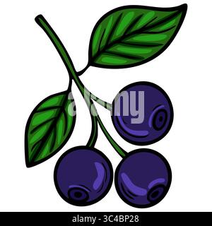 A vibrant vector illustration of a blueberry branch featuring three ripe blueberries and two green leaves. The design is colorful and cartoonish, emph Stock Vector