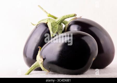 Three black eggplants are sitting on a white surface. The eggplants are large and have a shiny black skin. The stems are green and point upwards. The Stock Photo