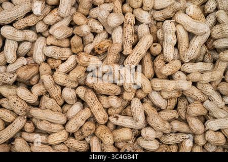 Freshly harvested and sun-dried peanuts in shell filling the frame. Ideal for websites, agricultural blogs, packaging design, or farming-related magaz Stock Photo